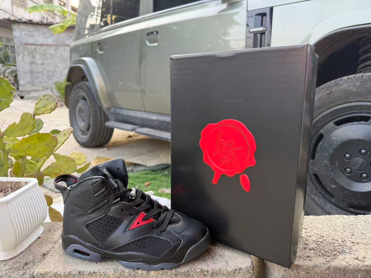 Air Jordan 6 New Colorway Sneakers