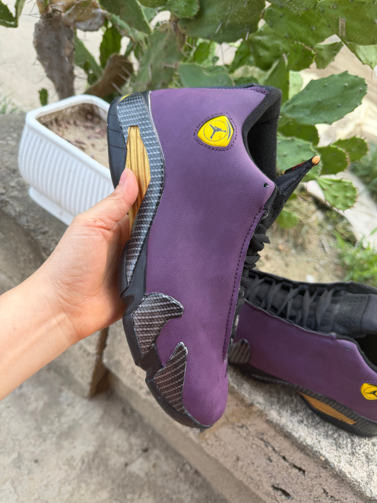 Air Jordan 14 Purple and Black Sneakers
