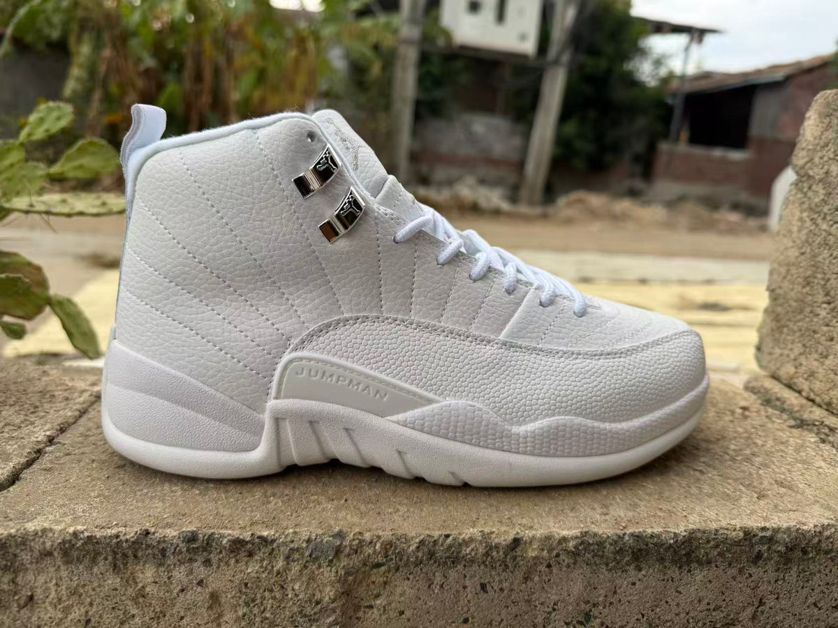Air Jordan 12 Retro Summit White/Metallic Silver Sneakers CT8013-109