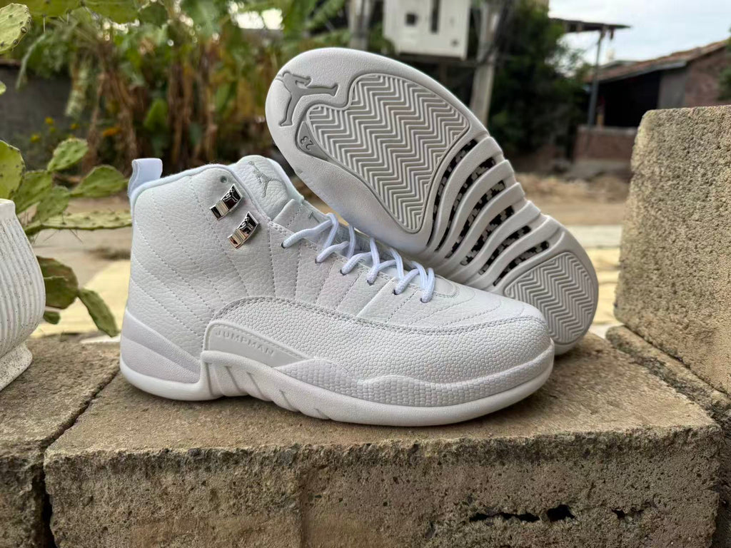 Air Jordan 12 Retro Summit White/Metallic Silver Sneakers CT8013-109